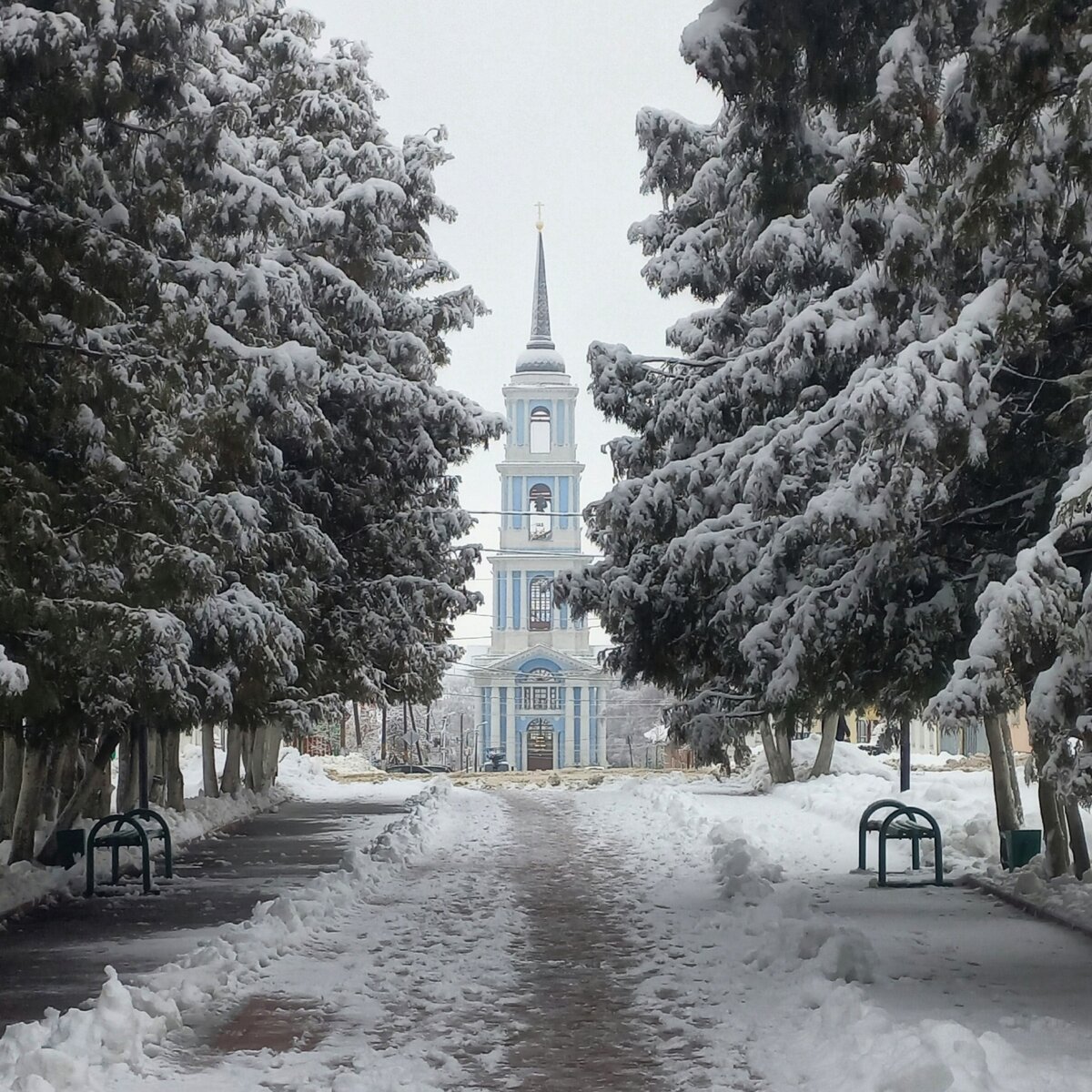 Николаевская колокольня. Вид из городского сквера. Фото Наталии Смирновой