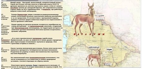 Дина БАЙБОРОДИНА