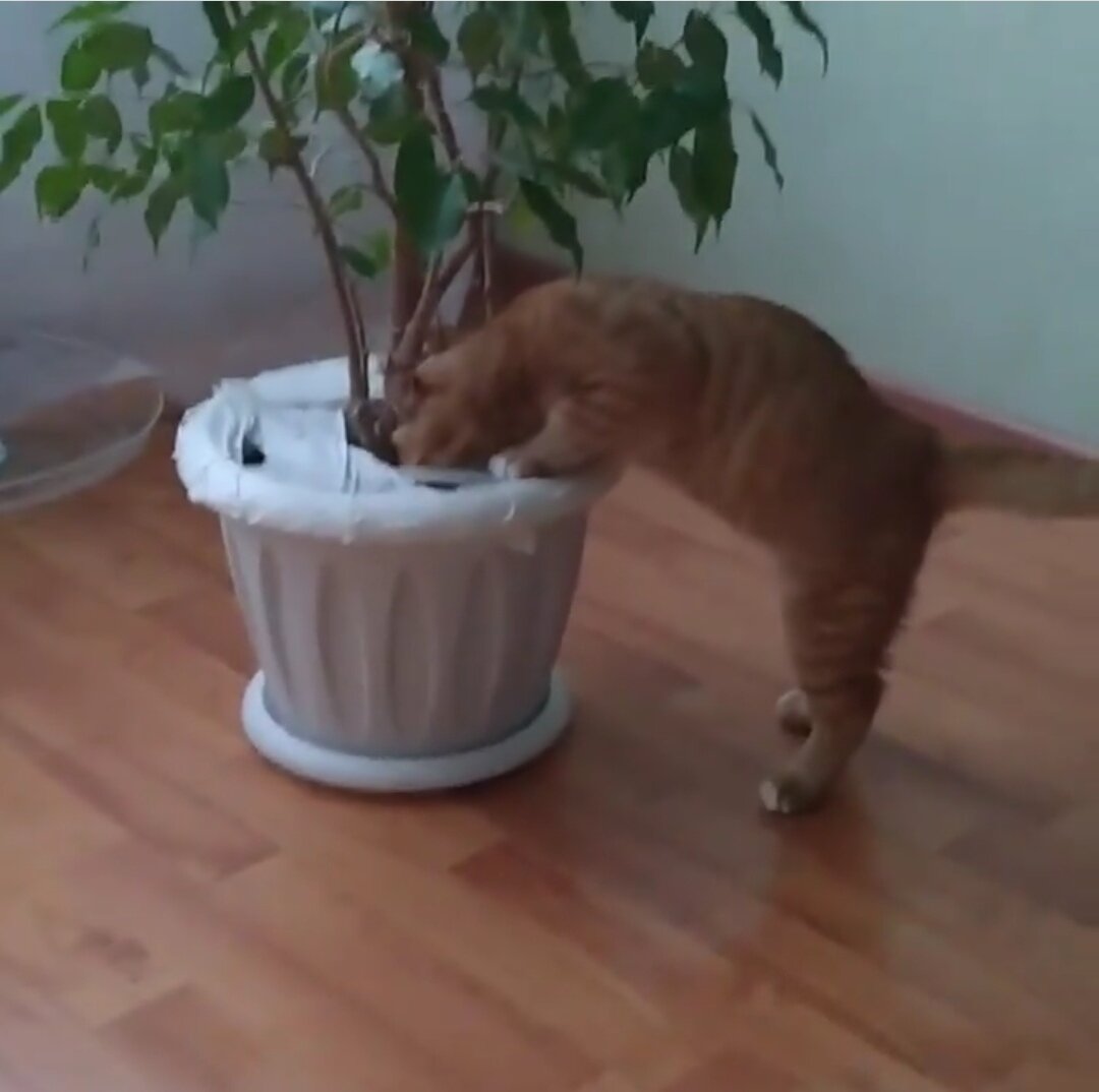 Фото для иллюстрации