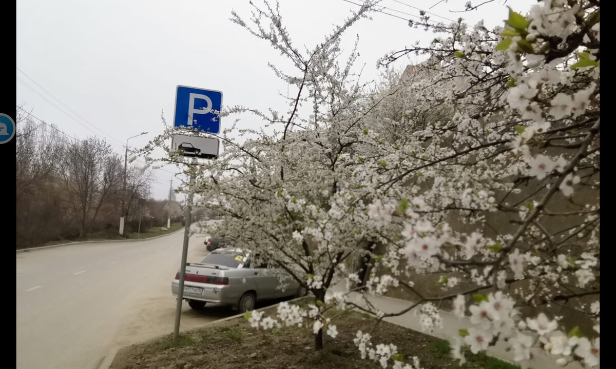 Это ещё с утра.