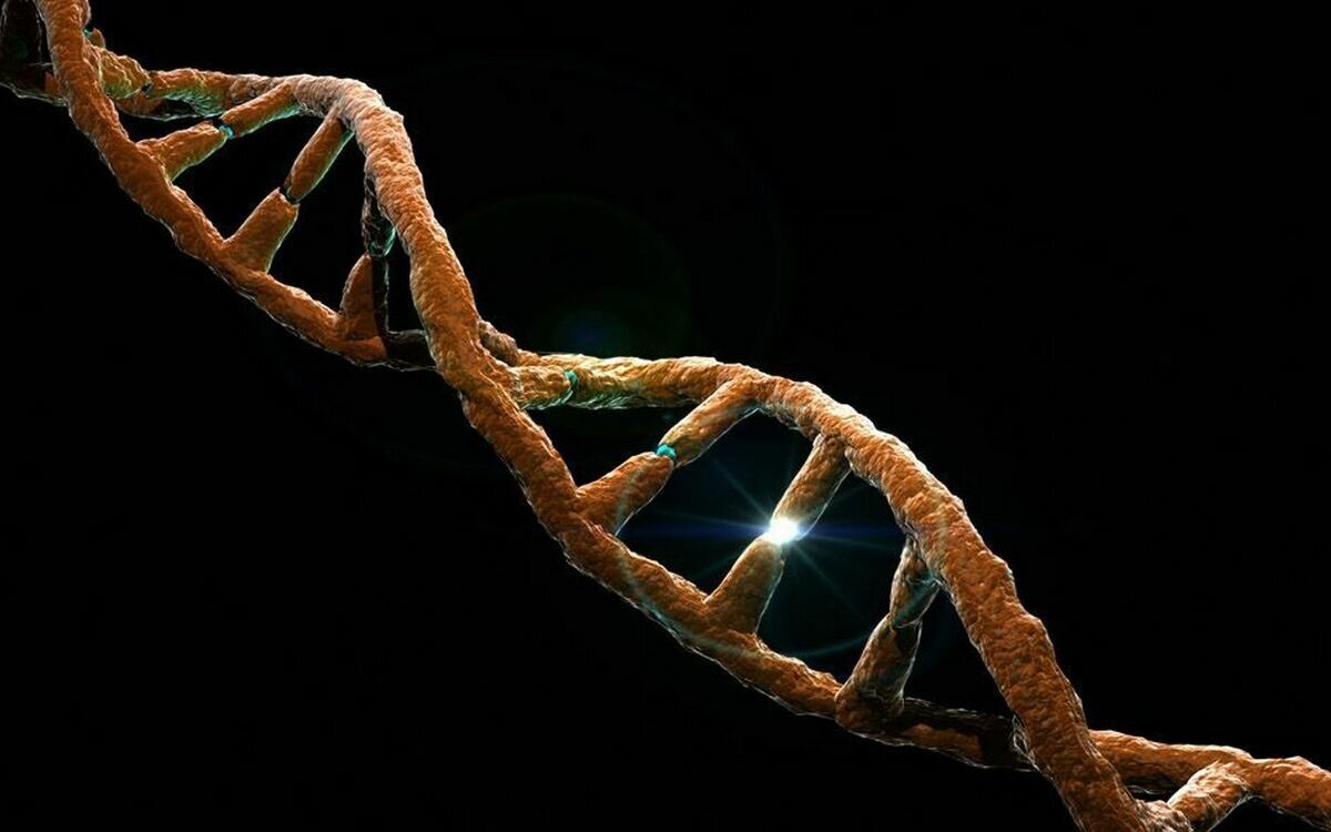 Разрушенное днк. Разрушенная ДНК. Древний вирус Феникс.