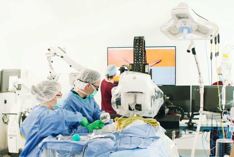    Источник изображения: Neuralink