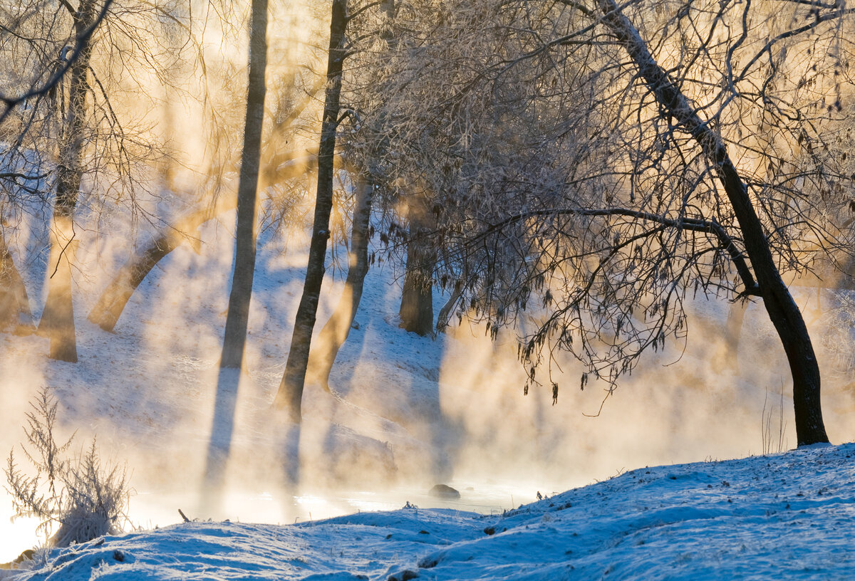 Сияющий туман над речкой. Фото Елены БЕЛОЗОРОВОЙ.
