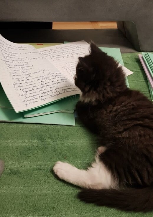 Кузя проверяет тетради.