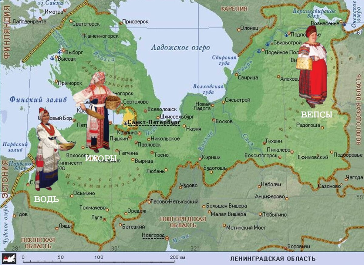Луга местоположение. Карта лен обл подробная по районам. Карта Ленобласти подробная по районам. Карта Ленинградской области с городами и поселками подробная. Карта Ленинградской области с городами и поселками подробная 2021.