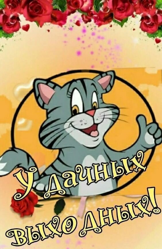 Источник: Яндекс картинки