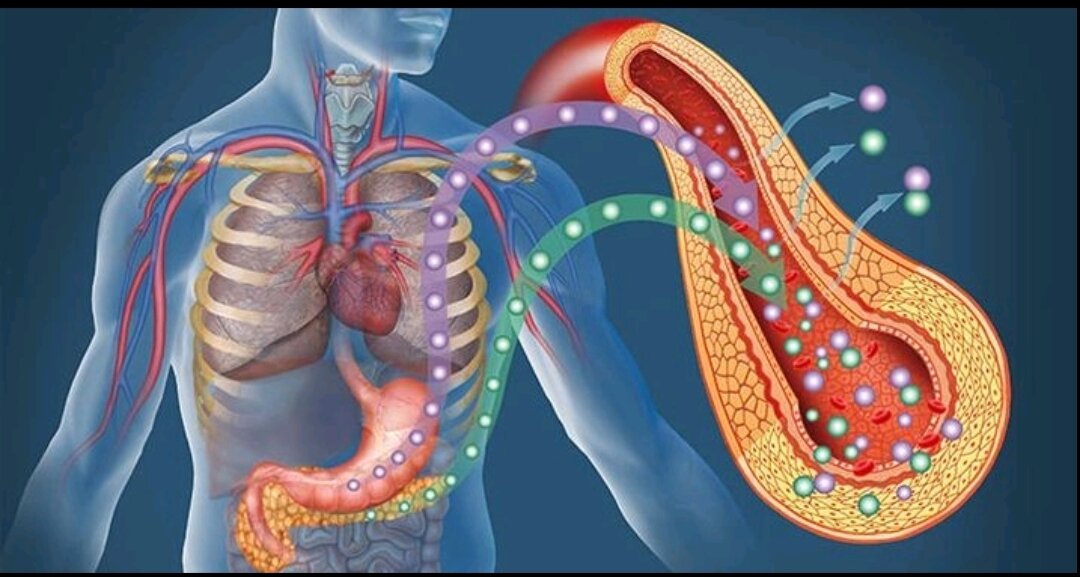 Фото из открытого источника