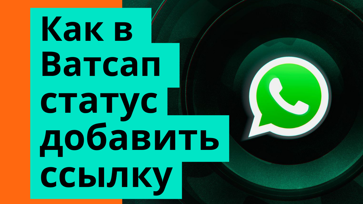 Бизнес в What's App: статус Вотсап и как его использовать маркетологу?