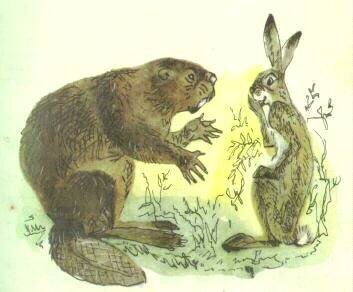 Тимми и бобер: учимся строить плотины