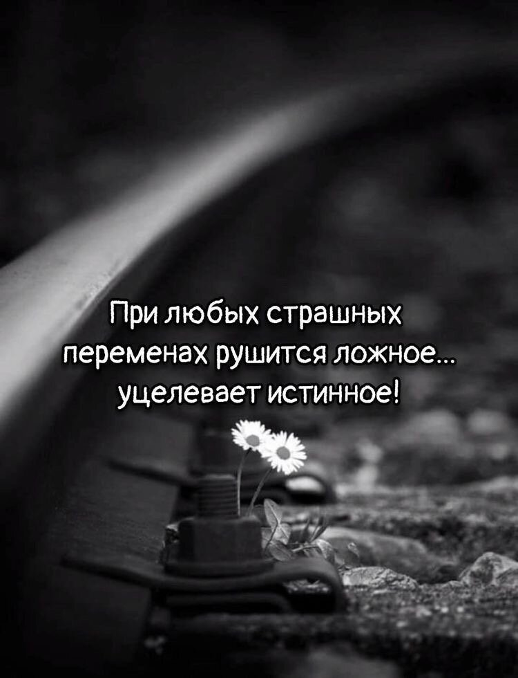Изображение взято со свободного источника в Интернете.
