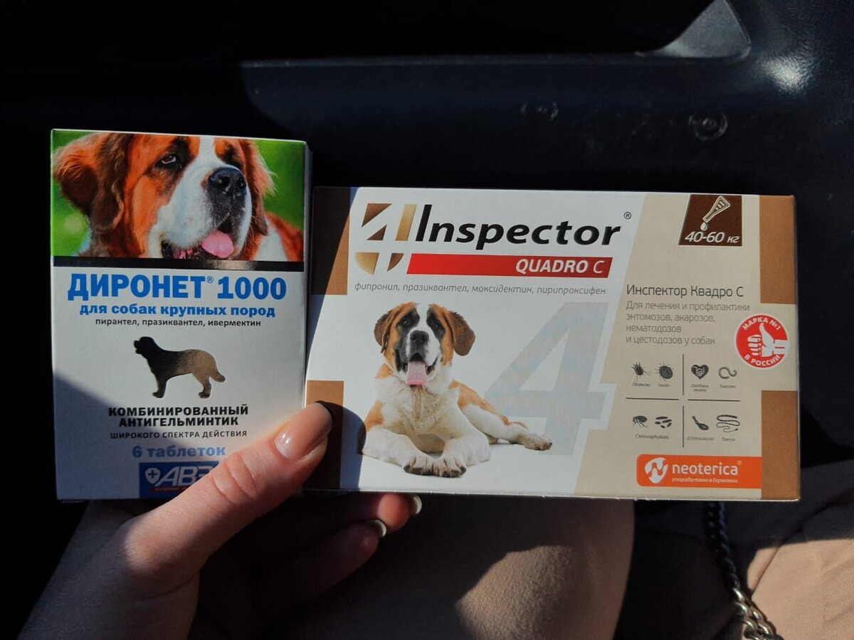 спасенная душа астрахань дзен