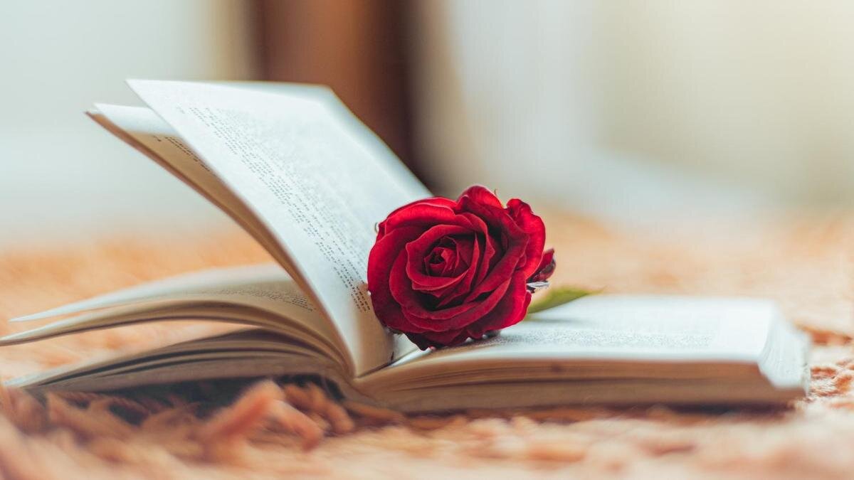    Раскрытая книга и красная роза:Freepik