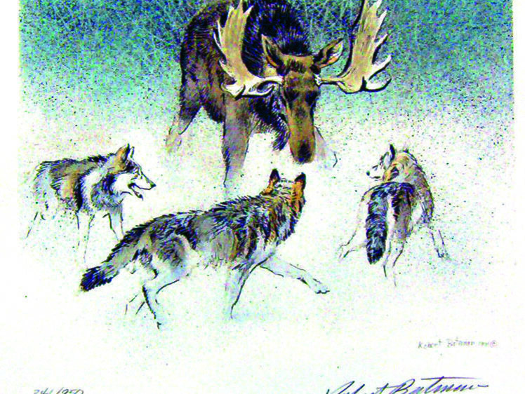     ИЛЛЮСТРАЦИЯ РОБЕРТА БЕЙТМАНА