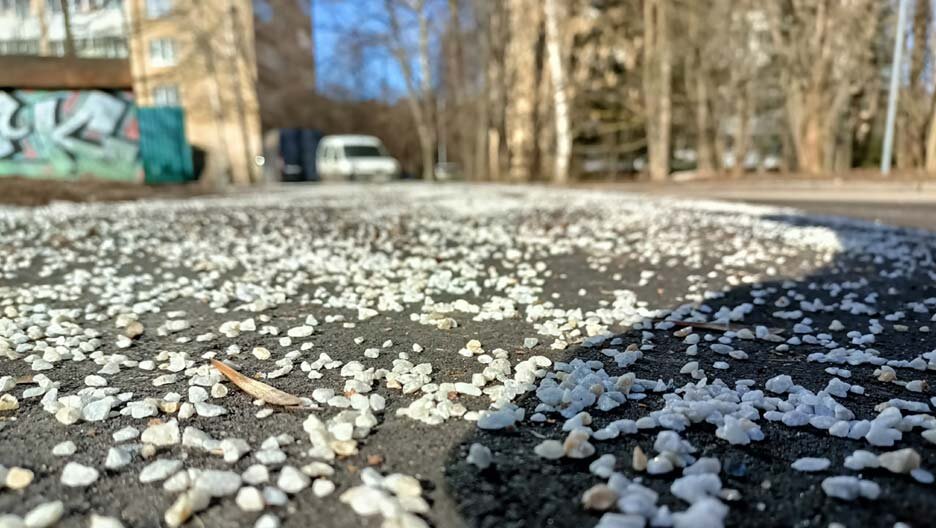 ФОТО: ZELENOGRAD.RU