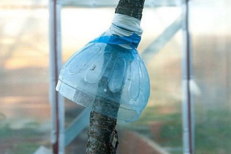соединить пластиковые бутылки. из 5 литровых пластиковых бутылок. пластиковая бутылка. защита пластиковых бутылок. укрытие для навесного замка.