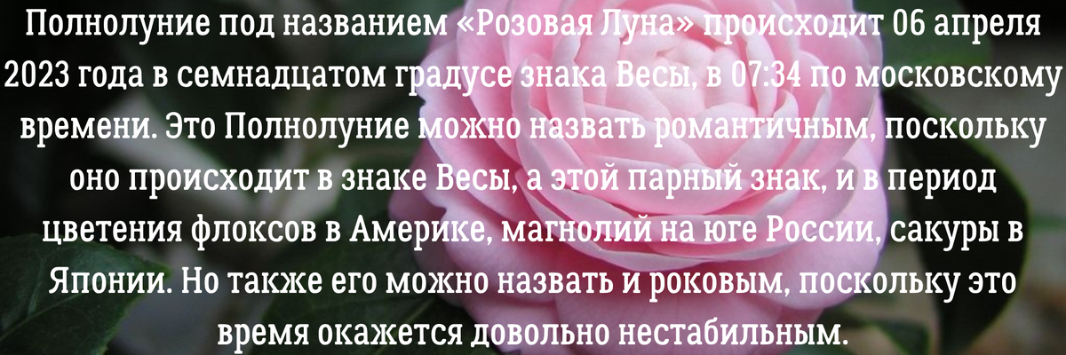 Вы можете заказать гороскоп или личный расклад по электронной почте – angelica.keiner@yandex.ru. Услуга платная. 