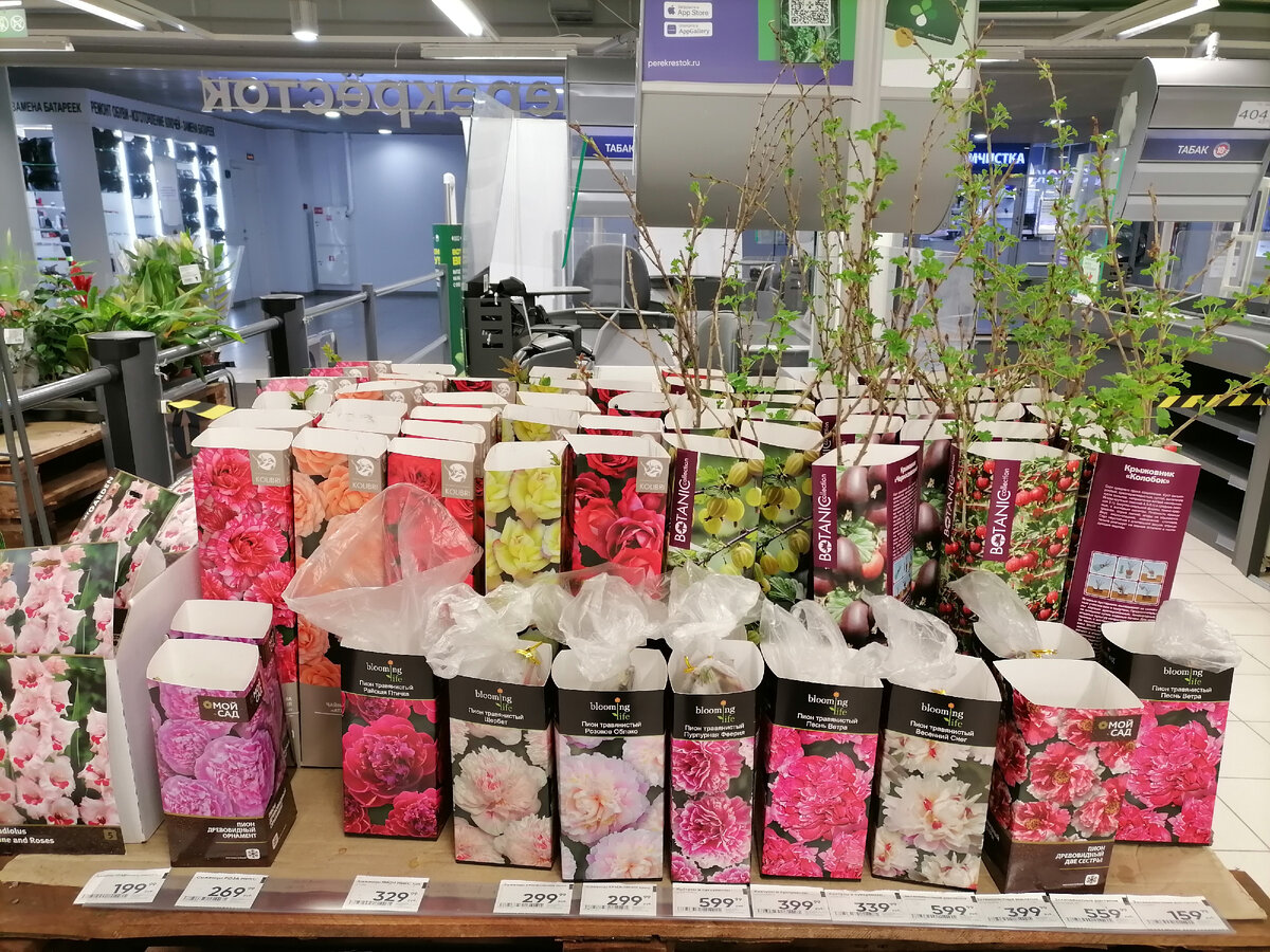 Цены ниже чем в Леруа.