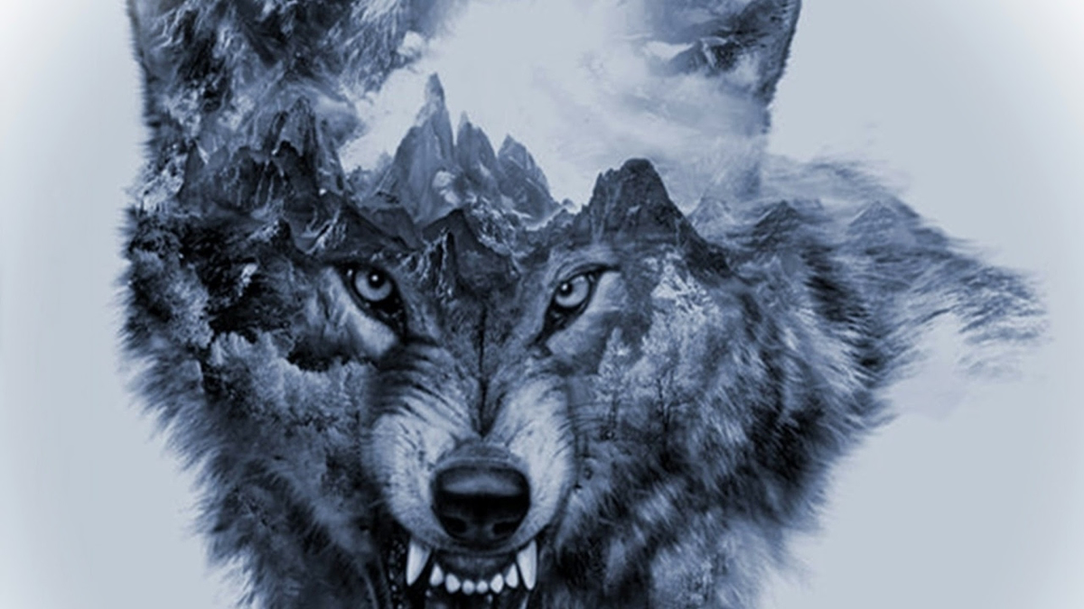 Фото из открытого источника