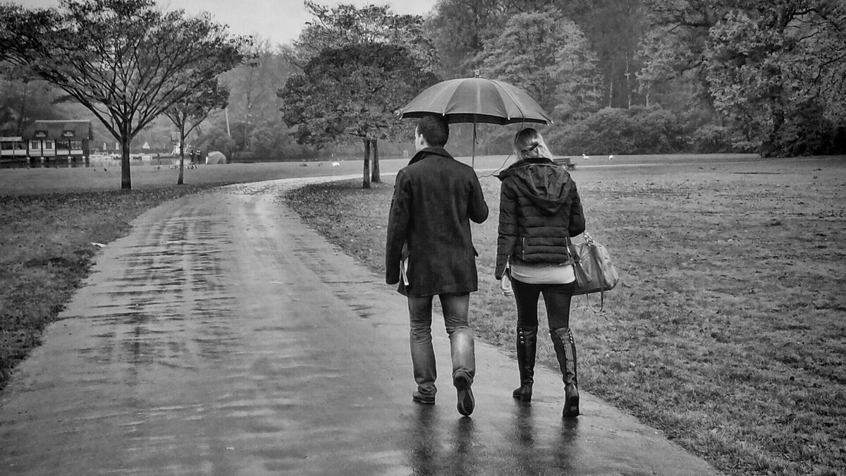     В Ростове-на-Дону совсем скоро начнется настоящий сезон дождей и может похолодать, сообщили в Гидрометцентре.