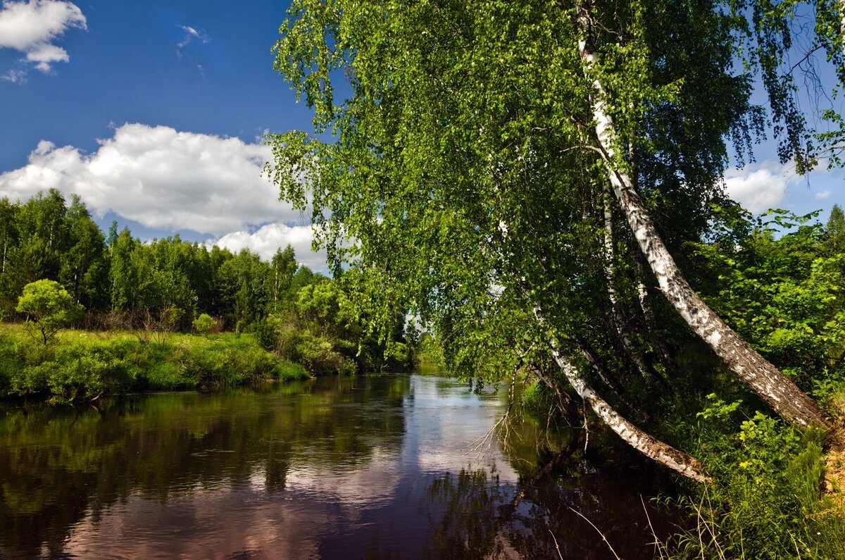 Найдено в интернете