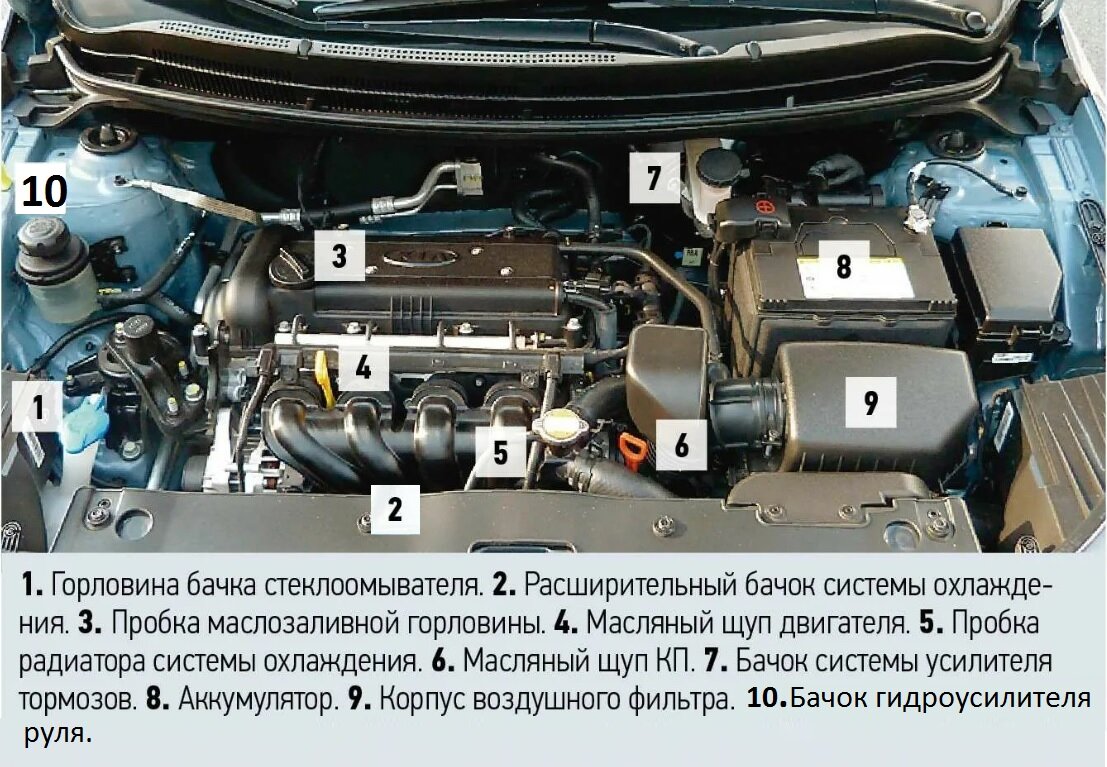 Технические жидкости, используемые в автомобилях: Исчерпывающее ...