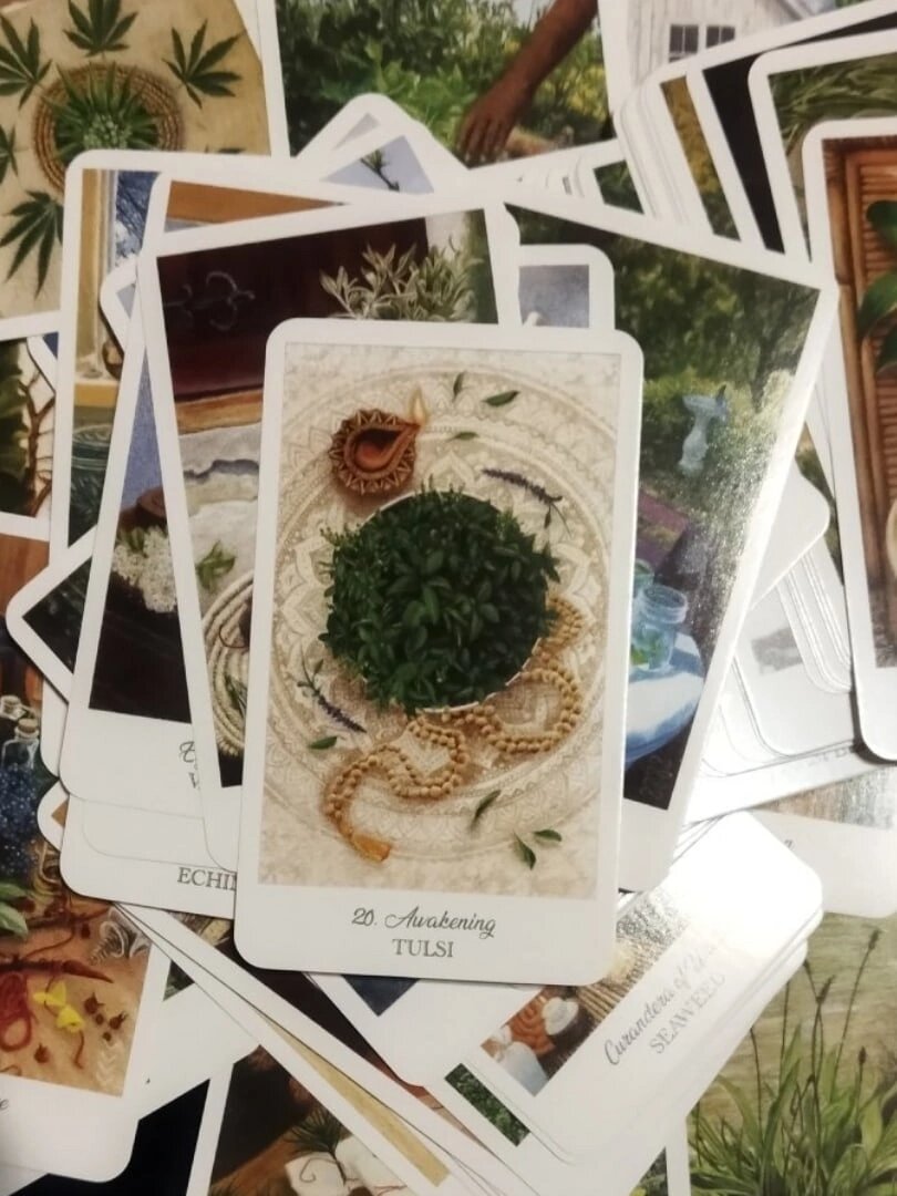 Карты Таро "Целителей Курандера"