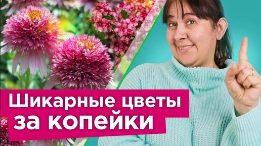 Стоят копейки, а выглядят на миллион! Многолетники и кустарники, которые быстро преобразят ваш сад