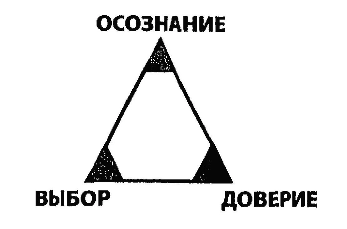 Осознай выбор. Осознание доверие выбор. Осознание рисунок. Треугольник осознание выбор доверие. Пять шагов осознанного выбора.