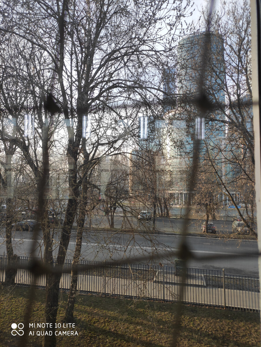 Рай за окном.  Окно в зале занавешено сеткой.