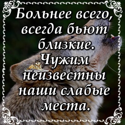 Картинка из просторов интернета. 