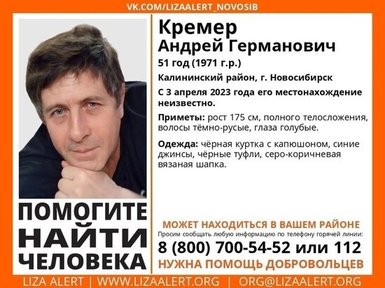     фото лизаалерт