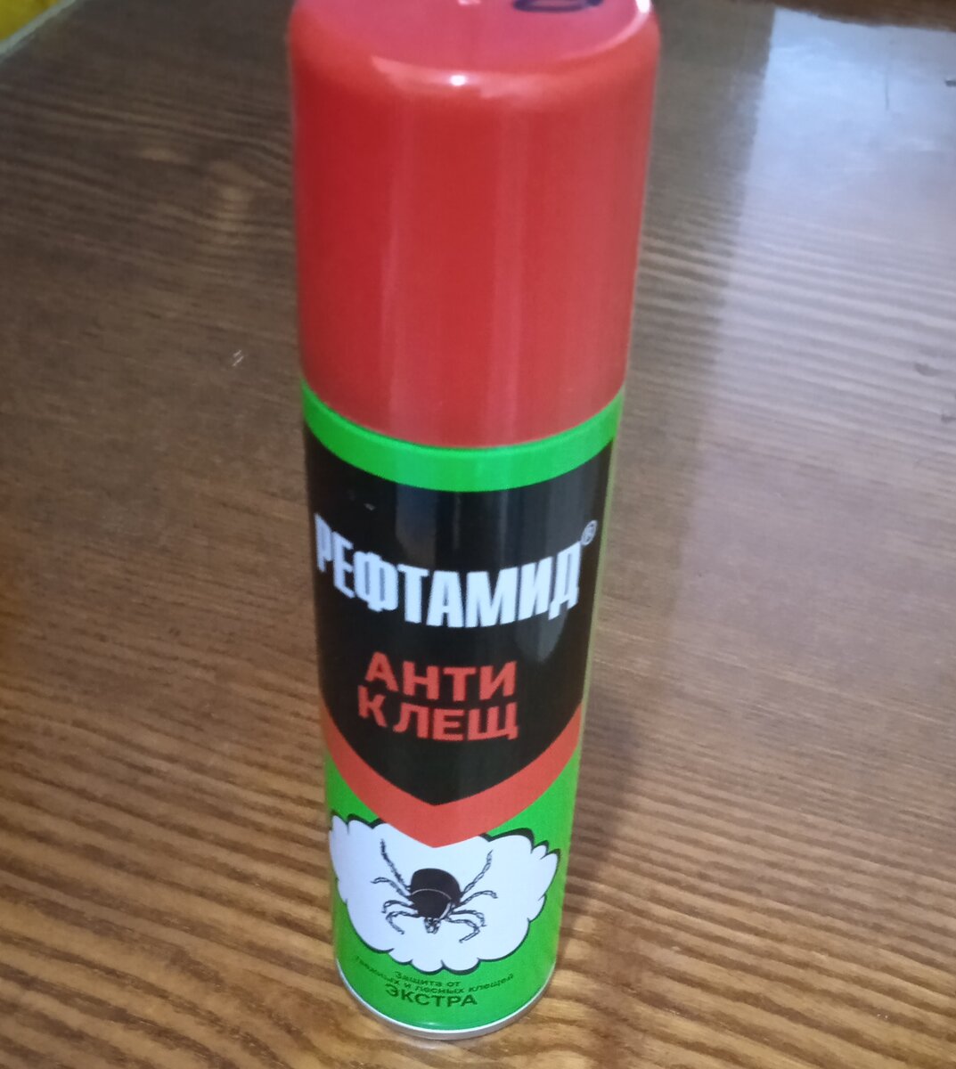 У меня началась чихота, и в садик я не пошла. Да и холодно сегодня.