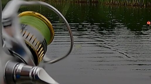 Рыбацкая хата Брест | НА ПОПЛА ПОППЕР ИЗ КАМЫША | Дзен