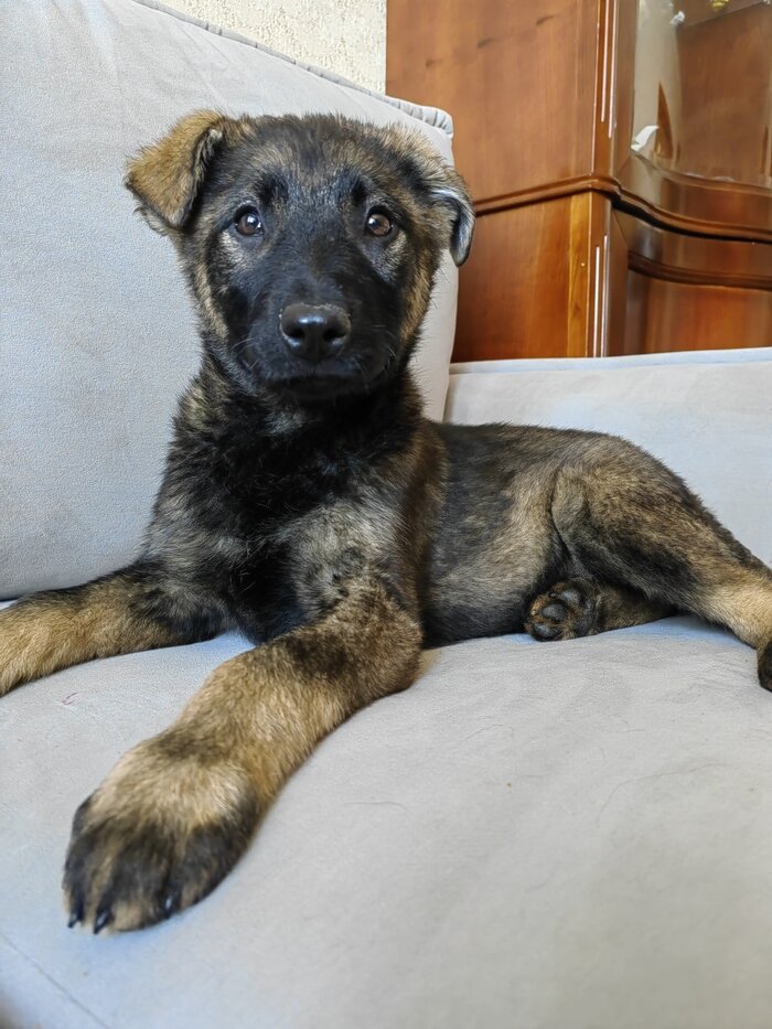 Листайте вправо, чтобы увидеть больше изображений