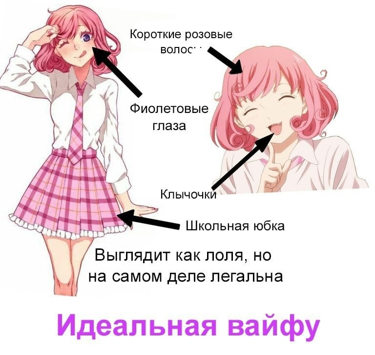 Вайфу вики. Вайфу. Вайфу это кто. Идеальная вайфу.