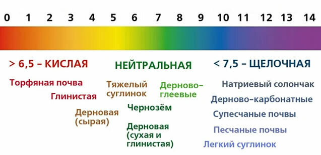 Добавьте описание