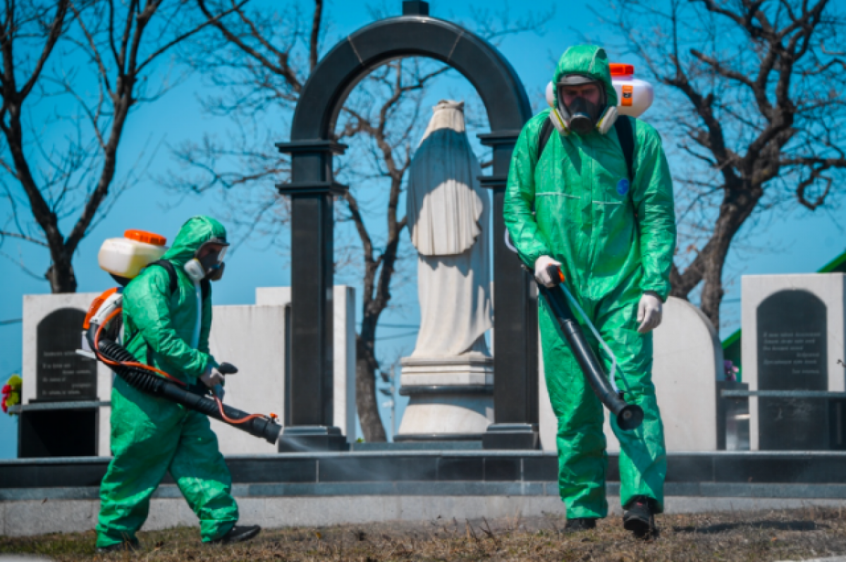    Порядка 38 млн рублей ежегодно тратят в Татарстане на борьбу с клещами