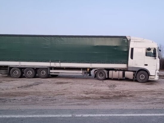     фото Кострома Online