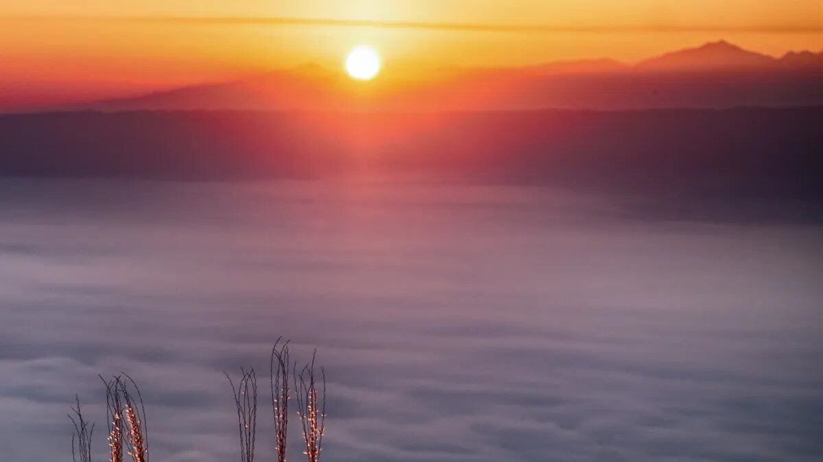 Магнитные бури на ближайшее время. Фото: www.piqsels.com