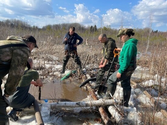     Фото здесь и далее: Псковское региональное отделение «Поискового движения России»