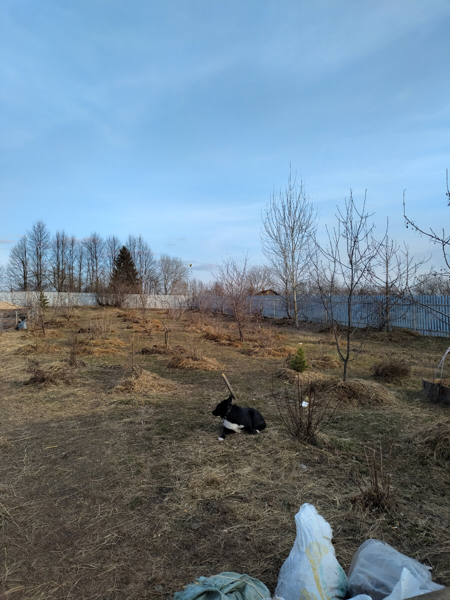 Вторая половина дня