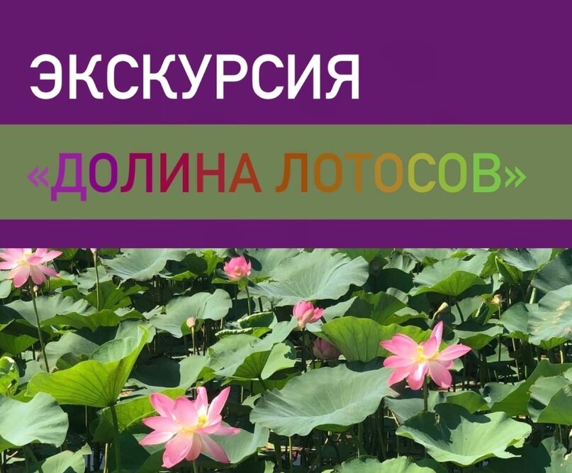 Кто помнит как катались на перегонки, как пробирались по толще ила, делали шапочки из растений и получали в лицо кучу брызг от осетров?  Незабываемые впечатления были получены летом 2022 года…Давайте повторим, а? 

Первая смена 2023 года ближе с каждым днём, а лотосы и осётры скучают все сильнее по нам….ЧЕСТНОЕ СЛОВО🔥
Открывайте архивы, делитесь впечатлениями, отмечайте @likecamp.club 💜
Будем ждать ваших отметках во всех соц.сетях 😎

📍Instagram: @likecamp.club
📍ВКонтакте: https://vk.com/like_camp 