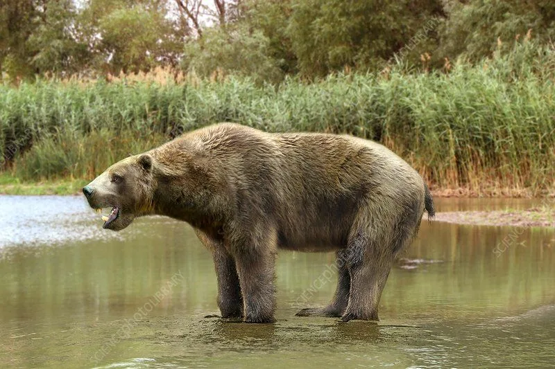 Жареных гвоздей не хочешь? Я говорю - жареных гвоздей не хочешь?