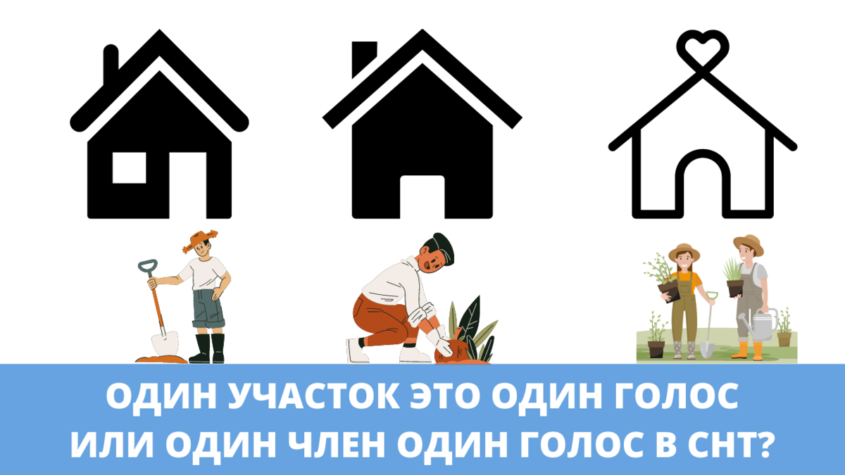 Владелец 36 земельных участков в СНТ качает права в суде. | Объединение  Садоводов России | Дзен