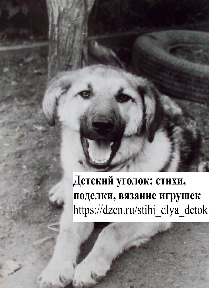 Барсик