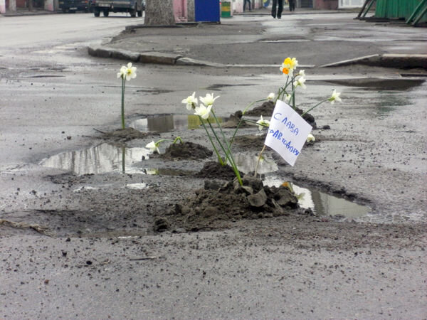 картинка из интернета