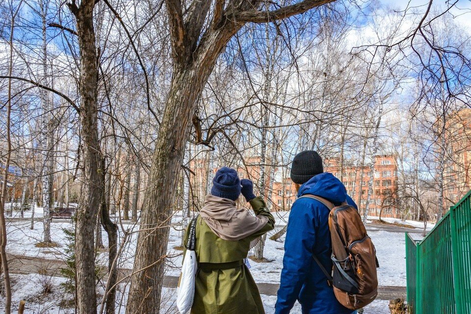     Фото: группа «Центр развития городской среды Томской области» Вконтакте