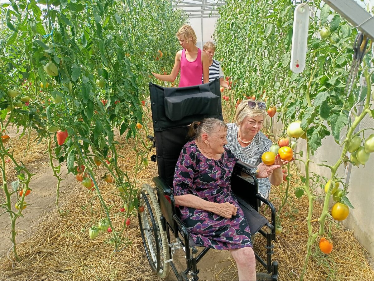 В теплице поспел урожай