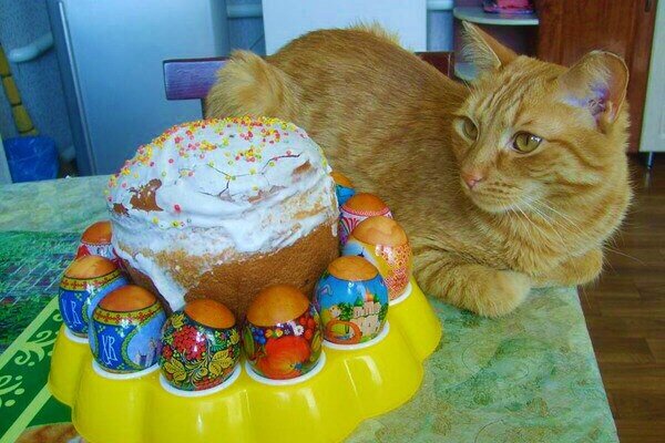 ���������� ������. ��������, ������� ���� �����. �������� ����: tunnel.ru