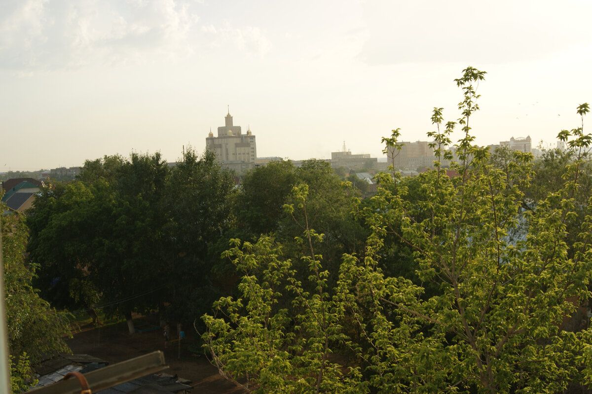 Просто летний дождь